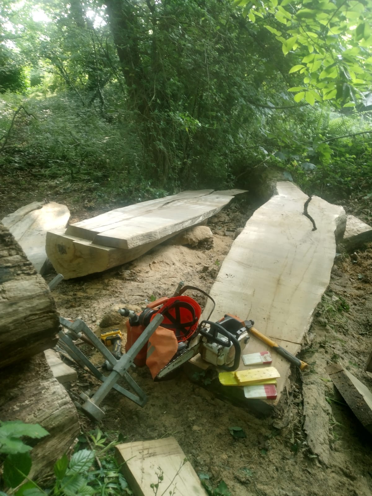 gardening services 2 image