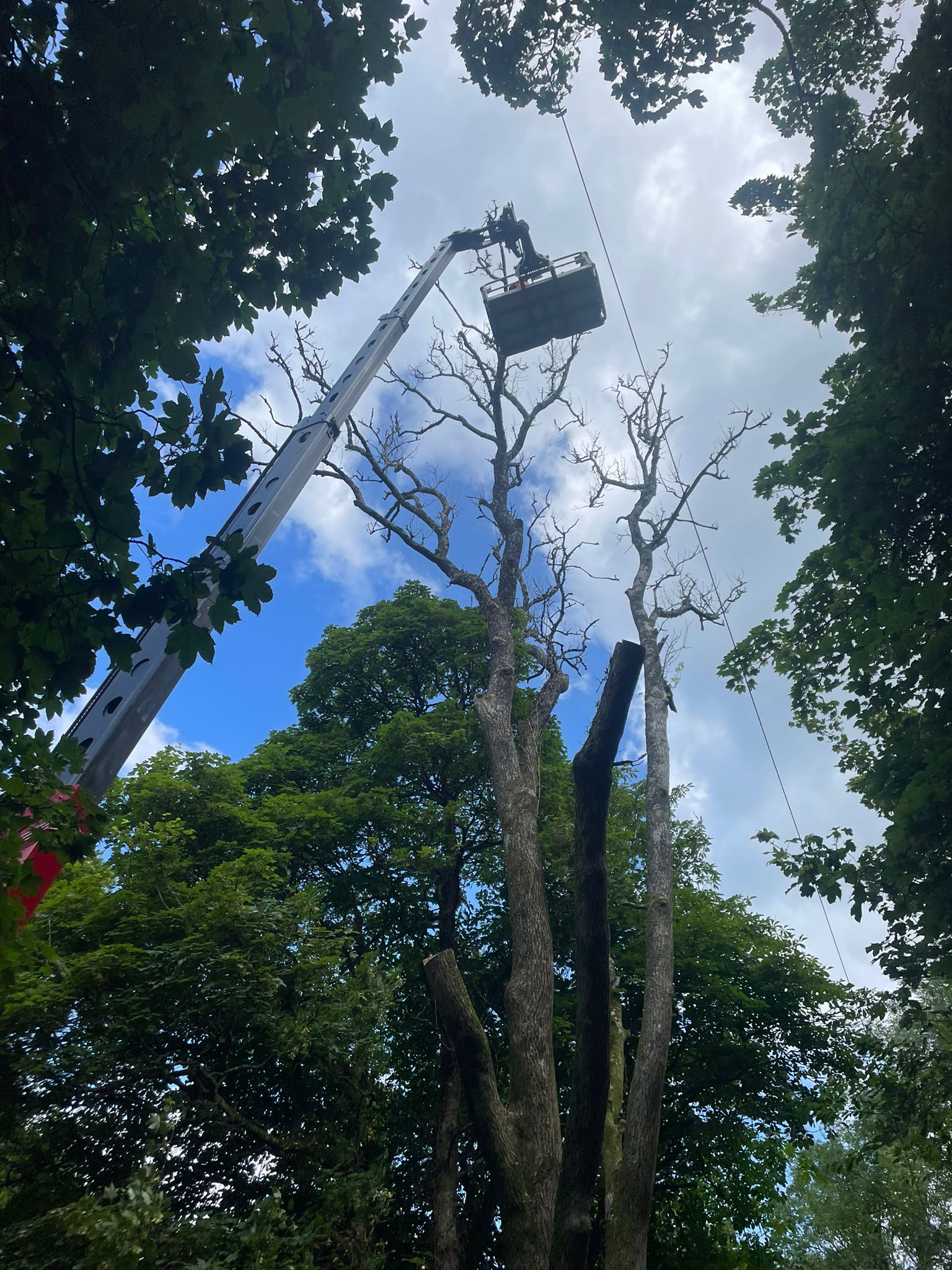 After Gardening Work