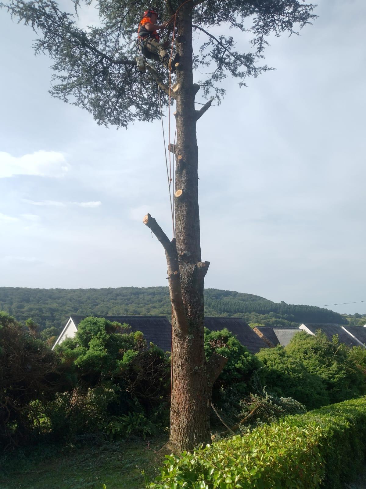 Before Gardening Work